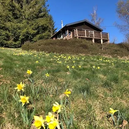 Le Chalet Des Coeurs Le Tholy Exterior photo